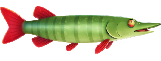 fish4